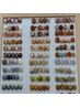 【秋ネイル限定】定額シンプル ニュアンス　アート￥7500→6800