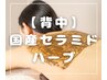 【背中の肌荒れが気になる方】純度100国産セラミドハーブ【背中】