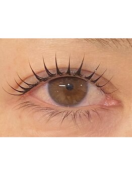 初めての方にオススメ