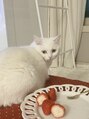 フィアラ 京都二条店(Fiara) 実家で猫ちゃんを飼っていて猫や動物がとても大好きです♪