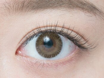 アイブロウ アンド アイラッシュ アイランド(ISLAND)/最高級セーブル160本 太さ0.1mm