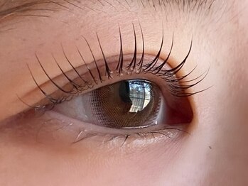 ゼロプラス(Zelo+)/ラッシュリフト