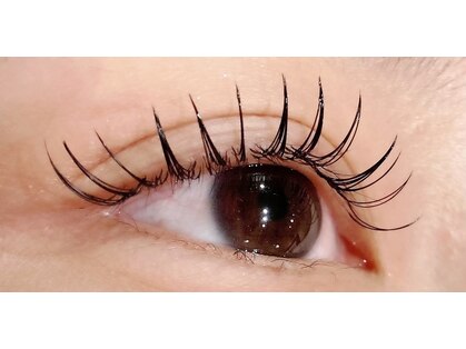 ノベリアイラッシュ(novere eyelash)の写真