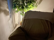 バクのひと眠り