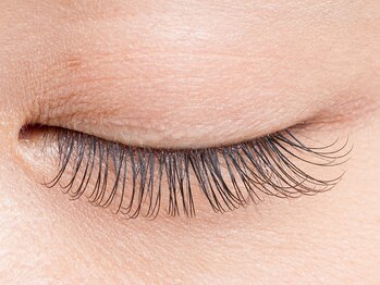 アイラッシュメイ(eyelash May)/フラットラッシュ両目で120本