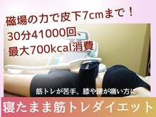からだの恵み/30分41000回の筋収縮