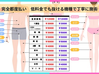 フレクシーの写真