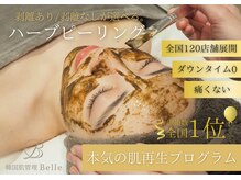 ベル 大和(Belle)