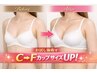 【A~Cカップ着用の方必見】 今から整える育乳ケア体験