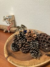 リリーボワ(LillyBois)/松ぼっくりのプレゼント