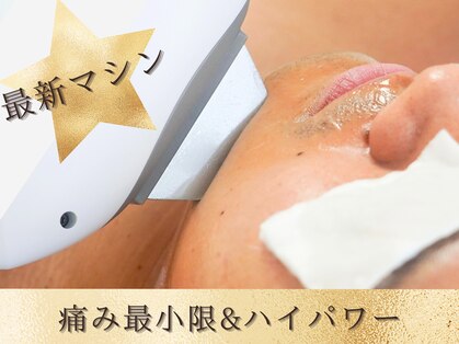 シープ(Sheep)の写真