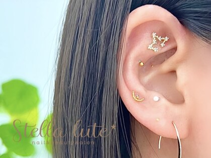 ステラルーテ(Stella lute)の写真