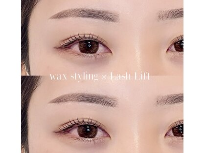 リノ(rino)の写真
