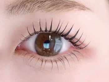 エルマ(eluma.)/まつげパーマ上下 