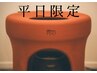 11月限定【平日12～16時】ご新規様特別価格★無農薬よもぎ蒸し40分