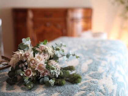 ジフィー(Gify)の写真