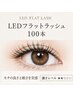 【高持続★】LEDフラットラッシュ100本持続力UP¥8,000→¥7,000