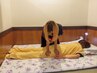 【当店オススメ!!】もみほぐし整体(60分)+ヘッド&ハンドマッサージ(30分)