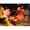 リトルハピネス(little happiness)のお店ロゴ