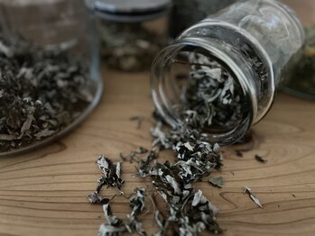 ミジタク 京都二条店(mijitaku)/無農薬の国産よもぎを使用