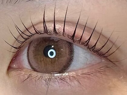 Vias まつげパーマ/パリジェンヌ/眉毛/マツエク/四日市の写真