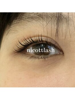 ニコット ラッシュ(nicott lash)/まつげパーマ