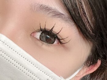 ベルシア(BELXIA)/パリエク