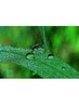 【雨の日クーポン】90分コースクーポン価額よりさらに５％オフ！！！