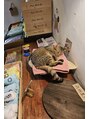 ナオル整体 大宮院(NAORU整体) 九州 1周旅行行った時のラムネ温泉のツンデレ猫ラム猫ちゃん!