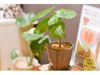 はぎわら治療院 青葉台/