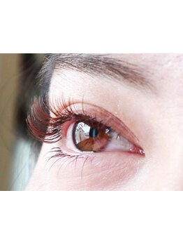 初めての方にオススメ