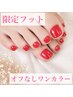 【期間限定フット】ワンカラー（オフなし）¥4500