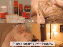 サロンワイアネシス(Salon y ANESIS)