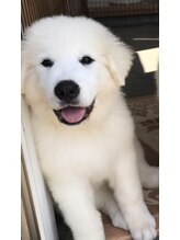 ハンズファンズヴィラ 伊勢崎店&nbsp;宮崎 