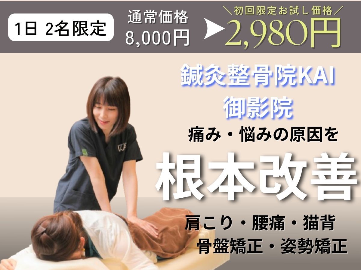 小顔美矯正施術DVD7枚セット 整骨院　鍼灸　セラピスト治療家の方へ動作確認済 骨盤矯正とマッサージを一緒に受けることで得られる相乗効果