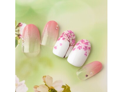 ラ カゼッタ(La casetta)の写真