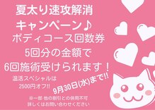 メディカルスリム カッツェ