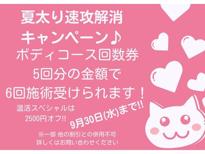メディカルスリム カッツェの写真