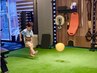 【子供トレーニング】受験対策にも◎子供トレーニング・脳トレ 1名¥3,300