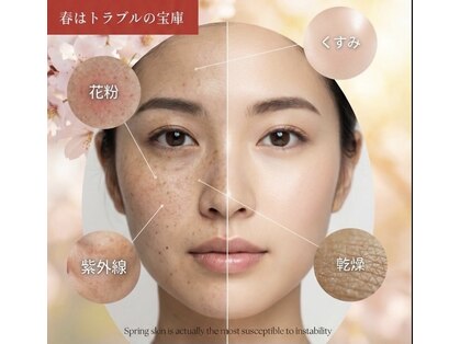 ミレマユメイク(mire)の写真