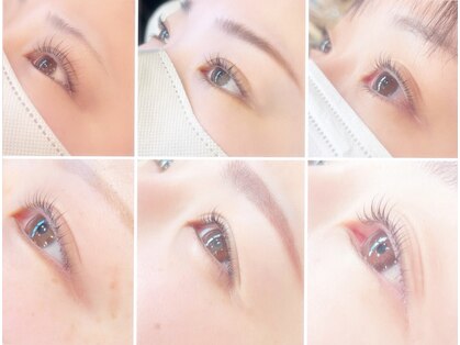 シャーム(scharm)の写真