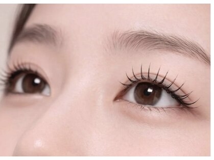 ミモザ(MIMOSA)の写真