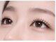 ミモザ(MIMOSA)の写真