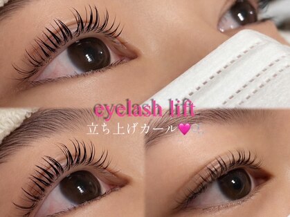 アコット(acot)の写真