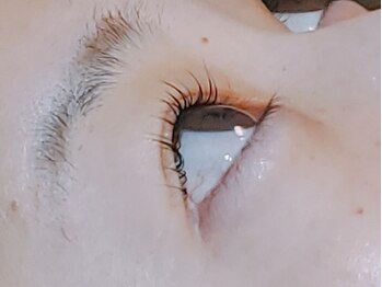 オレンジスター バイ パッセージ(ORANGE STAR BY PASSAGE)/まつげパーマ[相模大野]