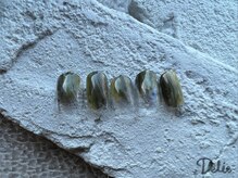 デリエ(Delie)/HAND SIMPLE 