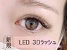＼ご新規様限定価格♪／【ふわふわまつ毛】LED 3Dラッシュ100束¥6500