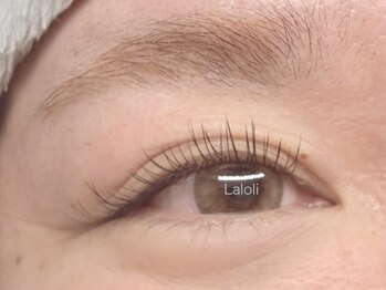 ラロリ(Laloli)/LED《フラットラッシュ》100本