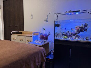 ル ココン(le cocon)の写真/《夏本番に向けて自分磨き★》確かな技術で理想のツルスベ肌へ♪男性も女性も大歓迎の本格脱毛サロン◎