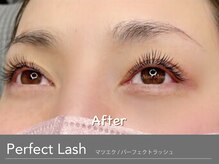 アンモス 日本橋店(Ann Moss)/マツエク☆パーフェクトラッシュ